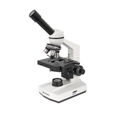 Mikroskopvergrößerung von 40x bis 400x