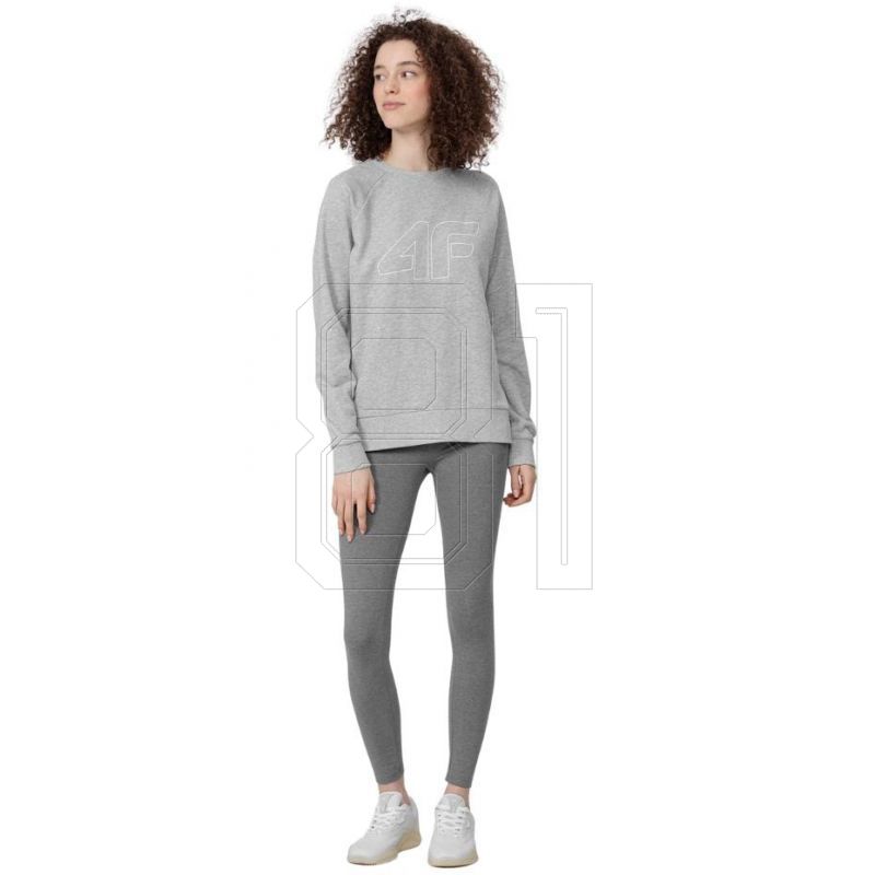 4. Sweatshirt 4F W H4Z22 BLD350 27M