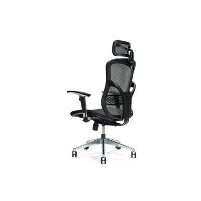 2. Ergonomischer Bürostuhl ERGO 500 schwarz