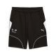 10. Puma BMW MMS M 627461 01 Shorts