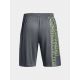 12. Under Armour M 1376943-012 Shorts