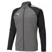 Herren-Sweatshirt Puma teamLIGA Training grau-schwarz 657234 13