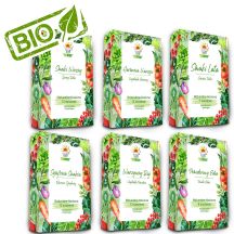 TORAF-SAATGUTSET - SET 1+2+3+4+5+6 2024 TORAF 63 x 1 Stück