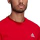 5. Adidas T-Shirt M GK9642