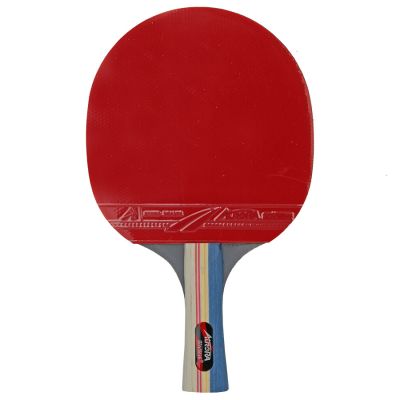 3. AURORA SG6182 *** Tischtennis-Set