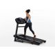 5. HORIZON FITNESS T202-26 Elektrisches Laufband