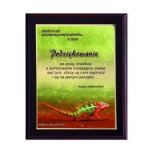 Kunststoffdiplom mit Farblaminat