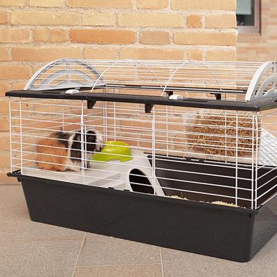 4. CASITA 80 (x1) - Käfig für Meerschweinchen und Kaninchen