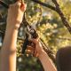 3. Fiskars Plus PowerLever P721 Gartenschere