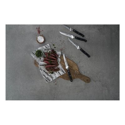 8. ZWILLING Pro Steakmesserset 38430-002-0 (4-teilig)