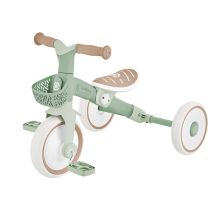 Dreirad/Laufrad LEARNING TRIKE 2in1 PLUS ECOLOGIC (737-109)