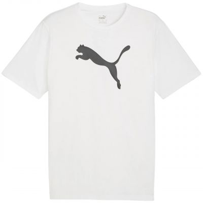 Puma Team Rise Logo Jersey Baumwolle M 658705 04