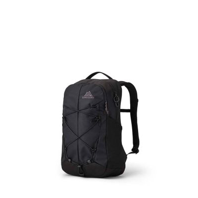 Gregory Terros 20 Laptop-Rucksack – Schwarz Flechte