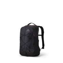 Gregory Terros 20 Laptop-Rucksack – Schwarz Flechte