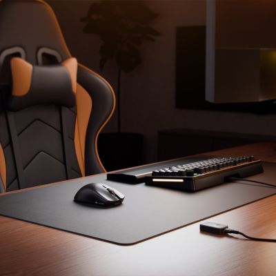 9. Glorious Series 2 PRO Kabellose Gaming-Maus