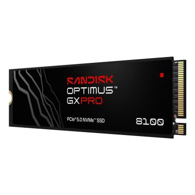 4. SSD Sandisk Optimus GX Pro 8100 2 TB SDSP82200TAN