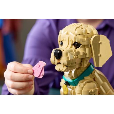 11. LEGO 11384 Icons – Golden Retriever Welpe