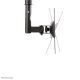 31. NEWSTAR Neomounts FPMA-C060BLACK Deckenhalterung 101,6 cm (40 Zoll) Schwarz