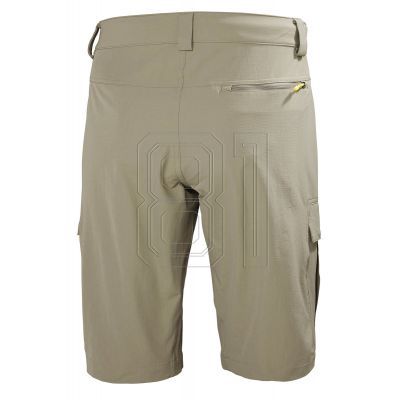 2. Helly Hansen HH QD Cargo Shorts 11" 54154 720