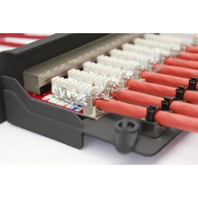 17. Patchpanel DIGITUS Professional DN-91624S-EA-B - 1U - 19