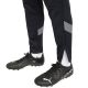 3. Puma teamFinal Trainingshose M 657380 03
