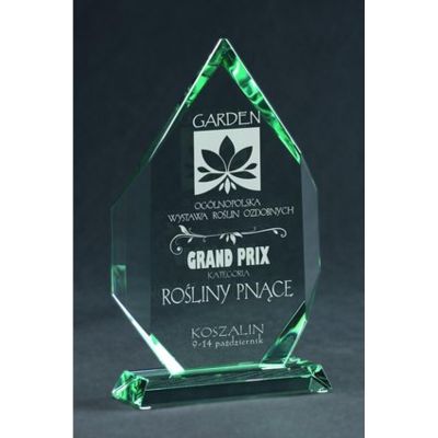 5. Gravierte Glastrophäe mit Etui