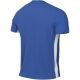 4. Nike Dri-Fit Challenge Trikot V Jr FD7426 463