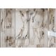 7. BADEZAHLREGAL ADDSTORIS Q HANSGROHE CHROM