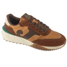 Joma C.501 Herren 2526 C501W2526 Braun 40