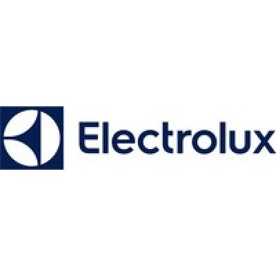 ELECTROLUX EL31C2OG Zyklon-Staubsauger
