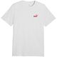 2. Puma Herren ESS Small No. 1 Logo T-Shirt (Hellgrau) 682535 05