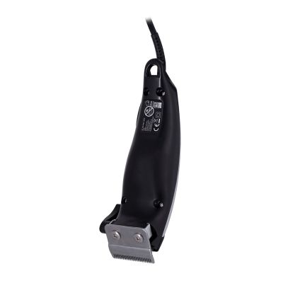 19. ESPERANZA HAARSCHNEIDER GALLANT SCHWARZ/SILBER EBC005S