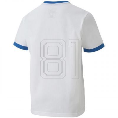 3. Puma teamGOAL 23 Trikot Jr 704160 12