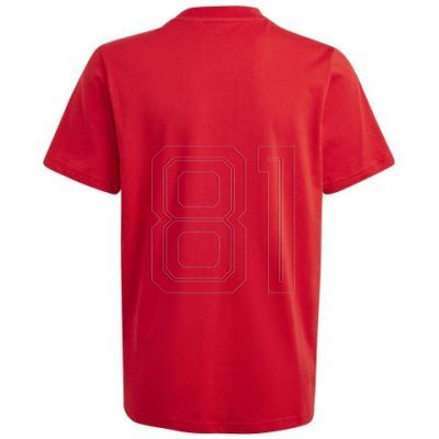 2. adidas Big Logo Tee Jr IJ6262