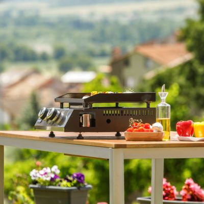 15. Black+Decker BXOP4900E 2-Brenner-Gasgrill