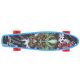 9. Pennyboard Nils Extreme Crude Dragon Skateboards
