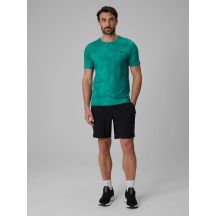 Herren-Schnelltrocknende Trainingsshorts 4F 4FRSS26TFSHM1622-20S