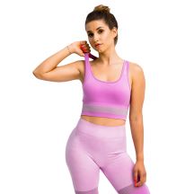 GymHero Stripes Bra BRA-MAUVE Lila L