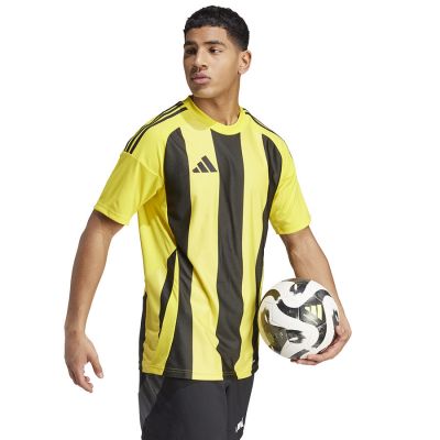 5. Adidas Striped 24 JSY M T-Shirt IW2146