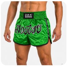 Herren-Thai-Shorts PASTEL GREEN V2 COMBATWEAR | DBX Bushido