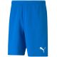 3. Puma teamRISE Shorts M 704942 02