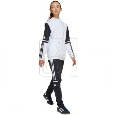 4. Adidas Squadra 25 Sweat Hoody Jr JD4807