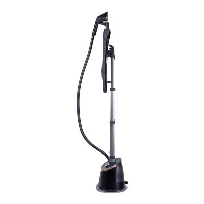 21. PHILIPS STE 3170/80 Dampfglätter