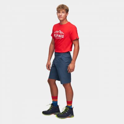 9. Alpinus Ferrera M FF18164 Shorts