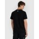 2. Herren-T-Shirt 4F 4FRAW25TTSHM3258-20S