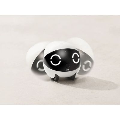 2. Enabot Rola Mini Companion Begleitroboter