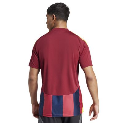 4. Adidas Gestreiftes 24 JSY M T-Shirt IW2149