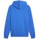 3. Puma ESS No. 1 Logo Centered Hoodie Herren Blau 692914 13