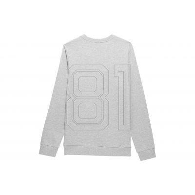 3. Sweatshirt 4F M 4FSS23TSWSM349 cooles hellgrau meliert