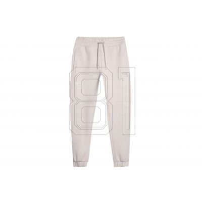4. Trousers 4F M 4FSS23TTROM137BEIGE
